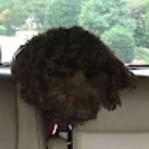 Meet your Posher, Melissa